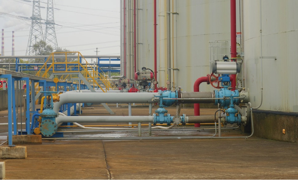 1701938725508047.jpg 3.jpg